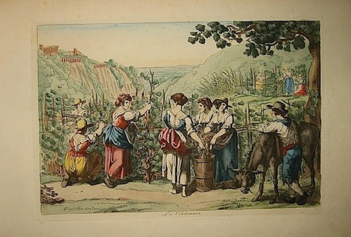 Bartolomeo Pinelli  Raccolta di cinquanta costumi pittoreschi incisi all'acqua forte da Bartolomeo Pinelli romano 1809 in Roma presso Lorenzo Lazzari alle Convertite